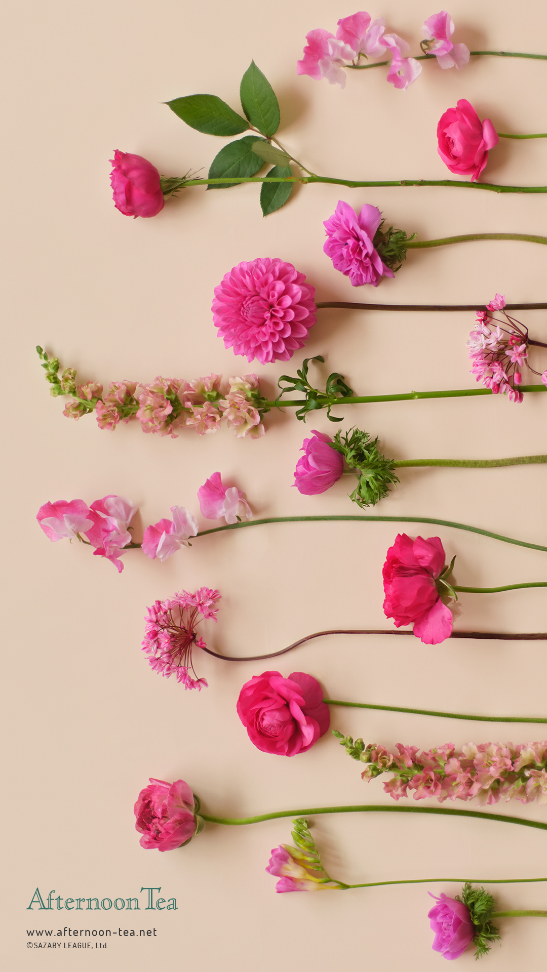 Afternoon Tea Wallpaper